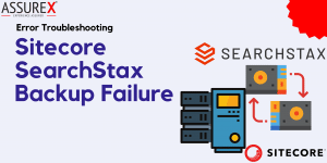 Error Troubleshooting - SearchStax Backup Failure